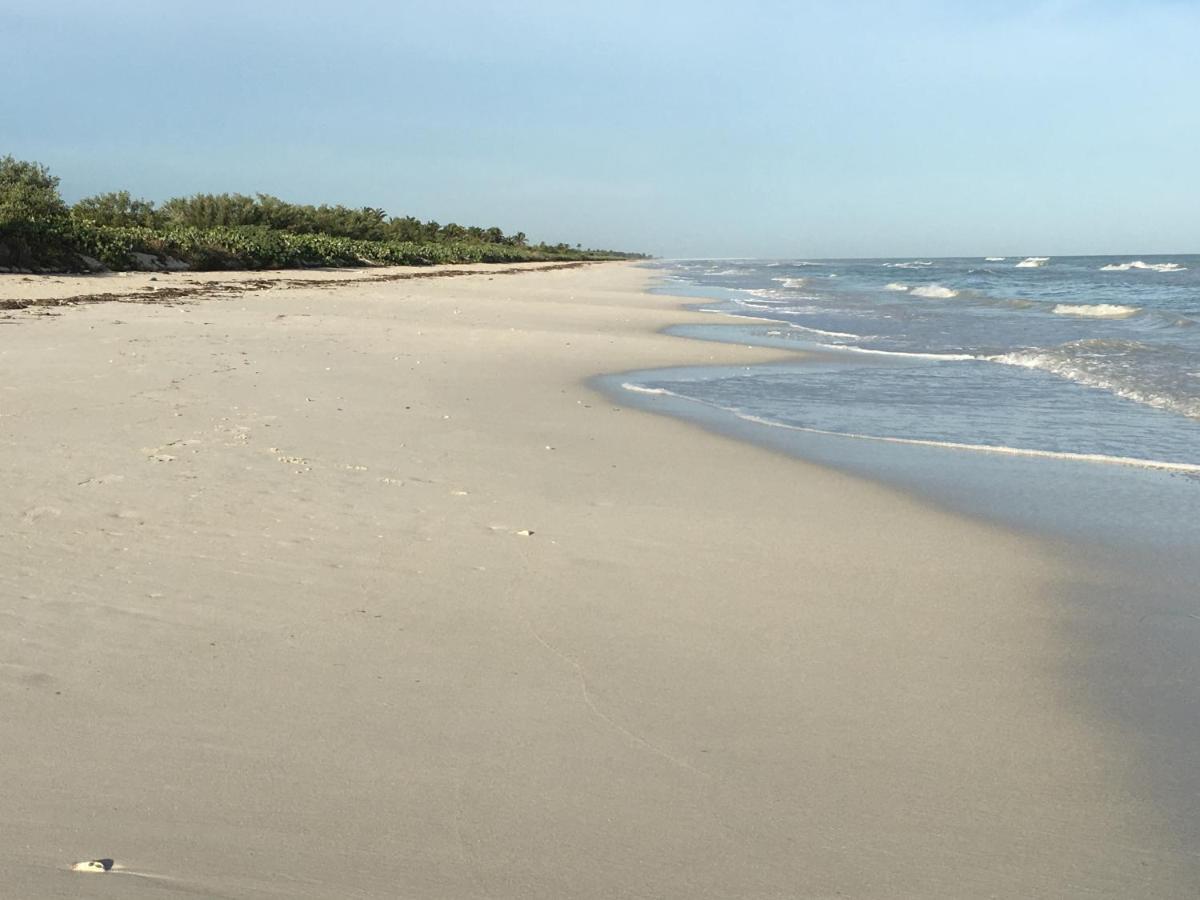 إل كويو Lunarena Barefoot Hotel المظهر الخارجي الصورة