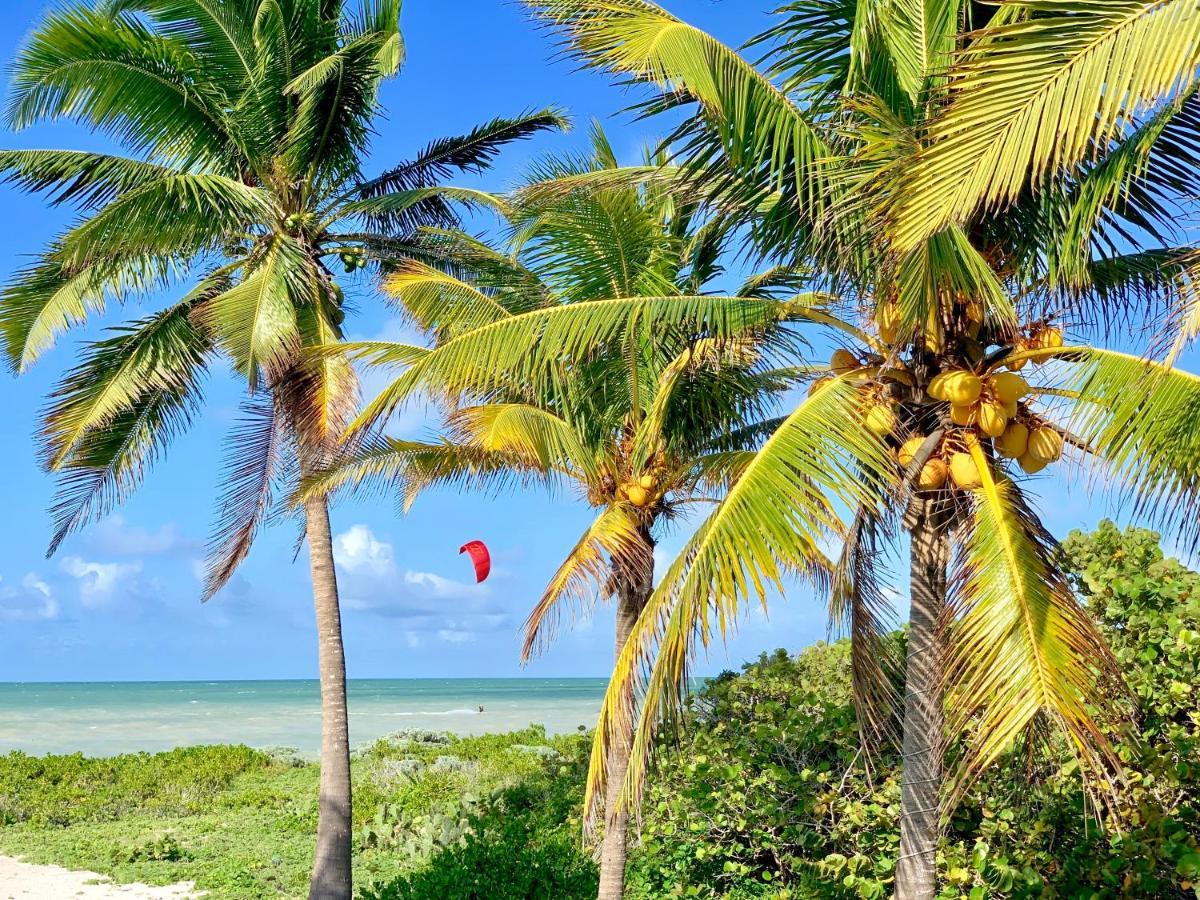 إل كويو Lunarena Barefoot Hotel المظهر الخارجي الصورة